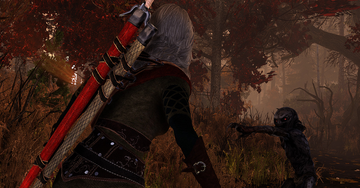 The Witcher 2: Farewell of the White Wolf